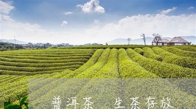 普洱茶 生茶存放/2023031761813